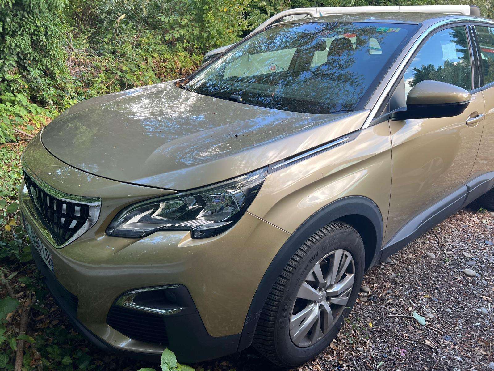 Peugeot 3008.